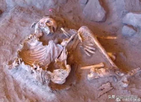 撒哈拉沙漠木乃伊查出全新DNA 揭示未知人类谱系