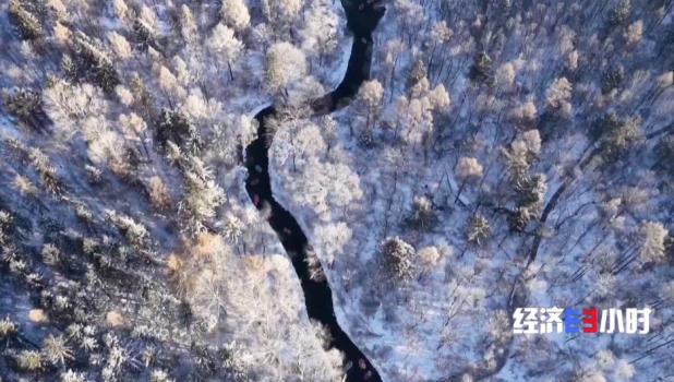 万亿赛道迸发消费新动能 冰雪经济全域开花