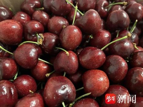 商家称车厘子价格近10年最低 昔日“水果贵族”风光不再