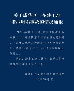 成都塔吊坍塌致5死 12人被问责 事故调查与追责启动