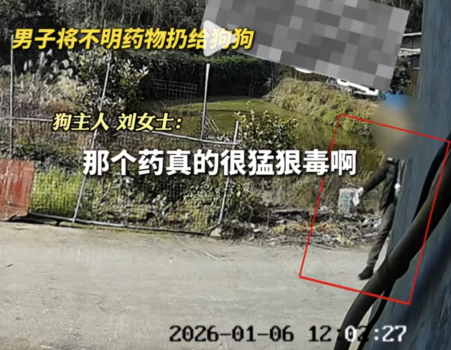 饲养1年的40斤黑狗被棍击后拖走 主人报警求助！