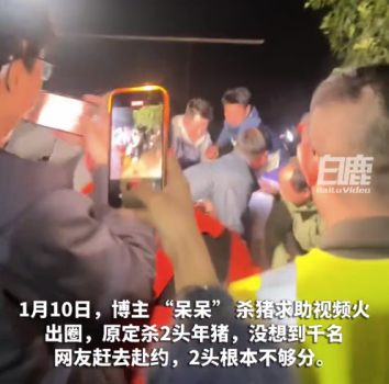 博主求助网友帮按猪引千名网友赴，合川文旅邀请网友一起刨猪汤