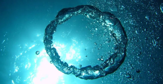 4280米深海采矿，拉走3000多吨多金属结核，如何影响海洋生物多样性？