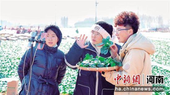 “中原菜都”扶沟：不止“趴地”爆款，电商助力乡村振兴