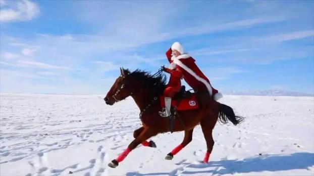 追忆贺娇龙 英姿犹在心