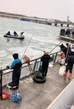 天津公园现冰封鱼群 市民凿冰兜鱼 寒潮下的冬日奇观