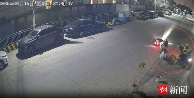 当地通报两女生骑电动车被狗追咬 事件引发广泛关注