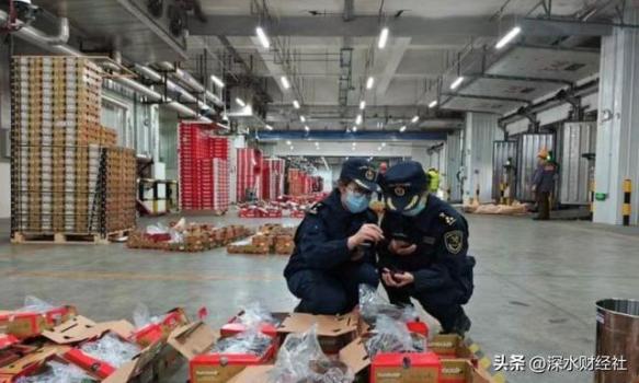 今年水果为啥这么便宜 产能激增引发降价潮