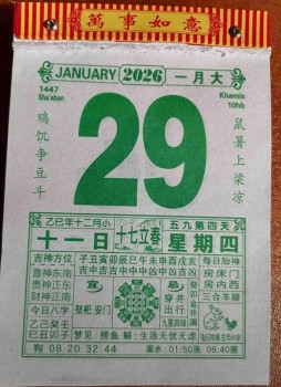 春节大扫除你打算哪天进行？