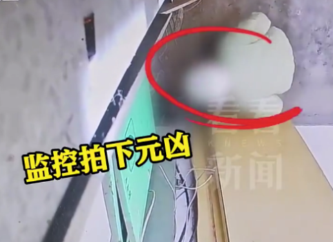 11岁男孩徒手拆全小区门禁 民警及时处置