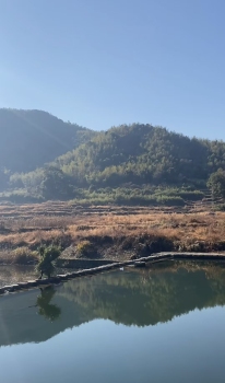 女子骑电动车近2个月从上海回广西 勇敢追梦旅程