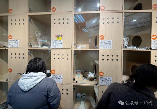 上门代喂需求暴涨 有人两周赚9000元 春节宠物经济火热