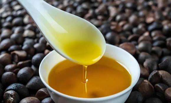 什么油“最”不健康？警惕慢性病隐患