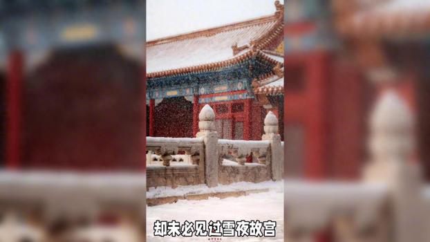 鹅毛大雪飘落北京故宫，灯光照射下，雪花洒成了“瀑布”