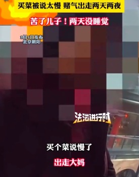 大妈被儿媳唠叨赌气出走2天2夜 急得儿子两天没睡觉