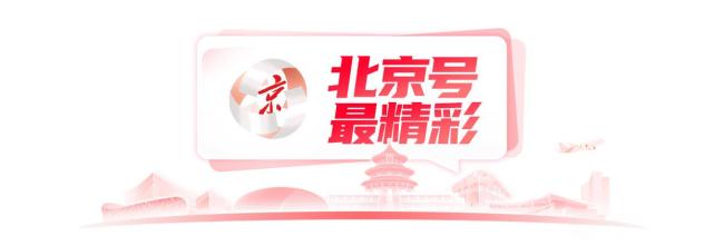 接下来是无数次的春和景明 花开满城浪漫时