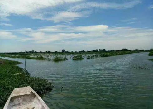 普通人养龙虾要避开这些坑 养殖需谨慎选择