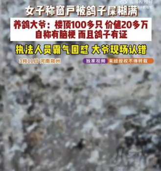 女子家窗户被100多只鸽子粪糊满 养鸽大爷：新来的别多管闲事儿