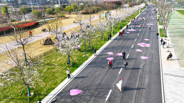 武汉青山江滩二期春花盛开游人如织 江景繁花交织成画