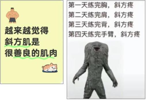 斜方肌为何如此“乐于助肌” 肩颈稳定的幕后英雄