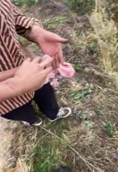 18歲農(nóng)機(jī)手為殘障夫妻免費收小麥