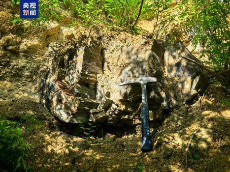 陽(yáng)泉發(fā)現(xiàn)約2.95億年前木化石 國(guó)家二級(jí)重點(diǎn)保護(hù)