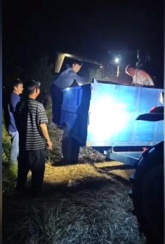 村民患癌住院無(wú)人收割 全村人連夜幫忙 鄰里互助暖人心