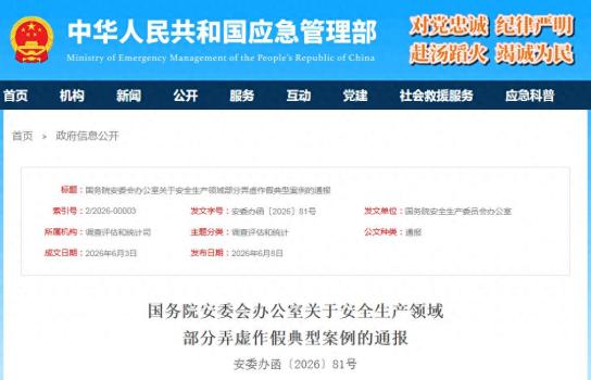 5起弄虚作假典型案例，通报！