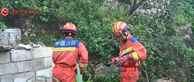 2米長眼鏡王蛇闖入農(nóng)戶家咬死一只雞 消防員智勇擒巨蛇