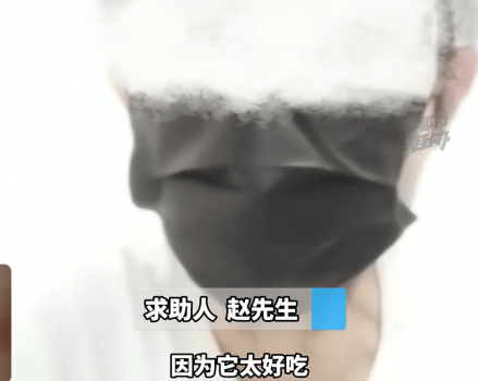 因为饼干太好吃而察觉到不对劲 健康与美味的选择难题