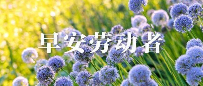 家长被洗脑称孩子挨打才有效果 官方成立联合调查组