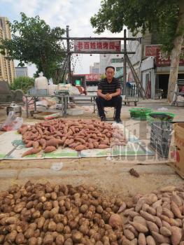 举报元青花杯失踪烧烤店主改卖红薯 店主转行引热议