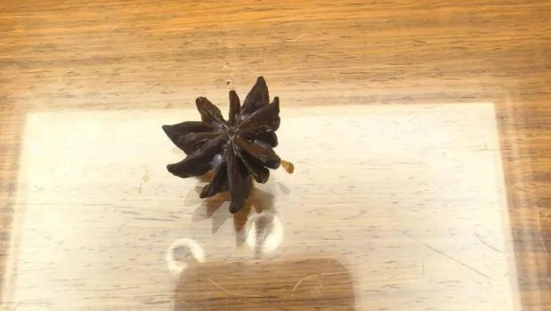 女子买的“八角”数出13个角竟有剧毒 饭桌上的“惊魂一刻”