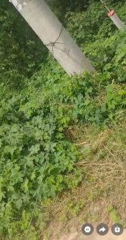 女子骑电动车途中遭横空线缆勒颈身亡 家属寻求法律维权