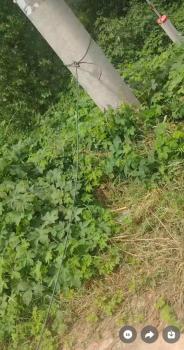 司机好心补路拉绳提醒 女子被勒身亡 悲剧引发关注