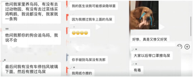 自家车上经常被鸟拉屎 男子确诊肺炎 鸟粪隐患需警惕