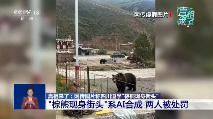 “棕熊现身街头”系AI合成 2人被罚