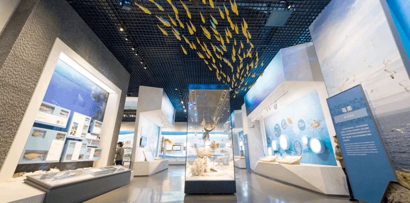 走进舟山博物馆 感受渔风民俗 领略海洋文化