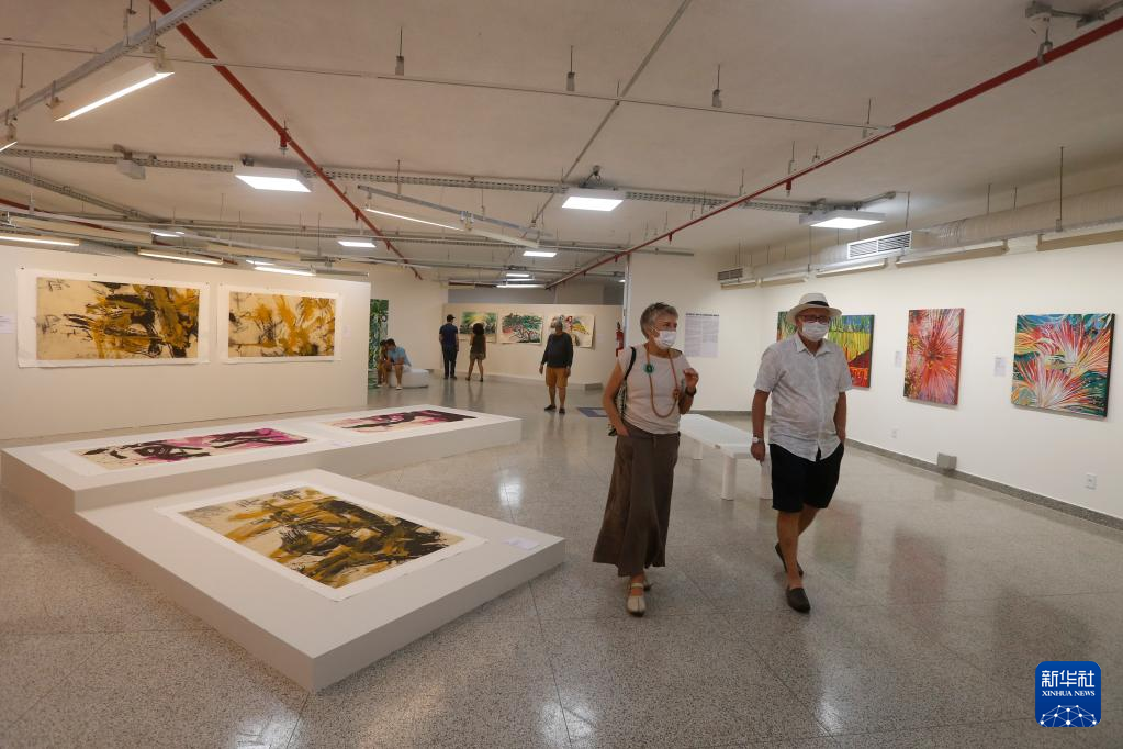 中国巴西当代艺术展在巴西利亚举行