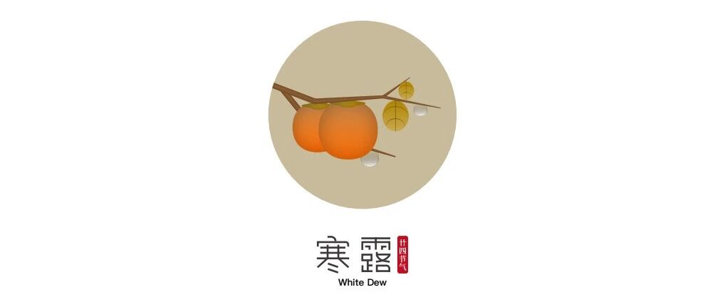 露气寒冷 将凝结也丨寒露