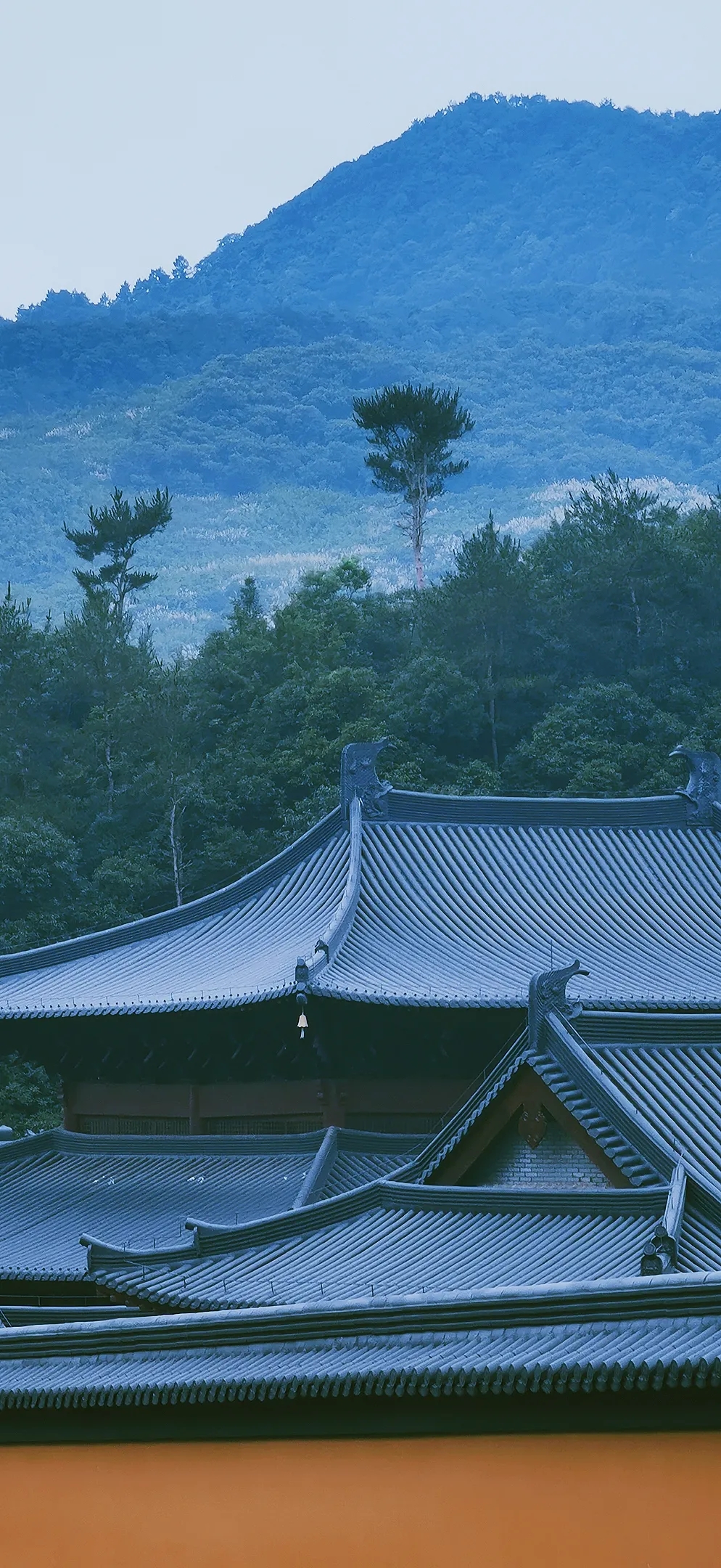 美丽寺院 | 建设中的雪窦山资福律寺