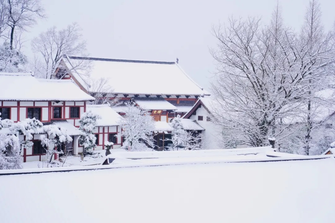 辛丑岁末，径山禅寺再迎瑞雪