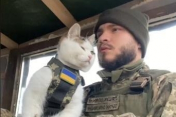 乌军用猫保护战备物资